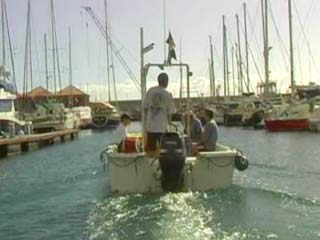 صور Diving, Gomera غوص